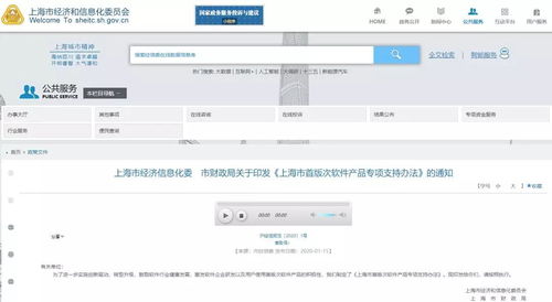 上海市首版次軟件產品專項支持辦法出臺，最高支持200萬元助力軟件及輔助設備發展